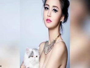 所有明星人名,璀璨星河中的闪耀名字集锦