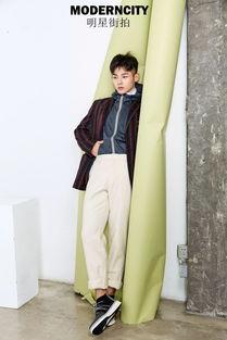 ty是哪个明星,探寻其璀璨星途与粉丝热爱的秘密